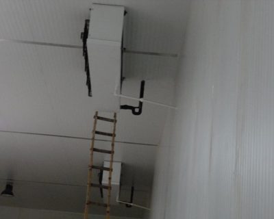 Syngenta Multan Cold Room Installation